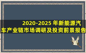 2020-2025 年新能源汽车产业链市场调研及投资前景报告